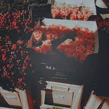Check spelling or type a new query. 32 Dusty Red And Gray Ideas Aesthetic Pictures Red Aesthetic Aesthetic Themes