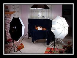 Best Lighting Kits For Pet Photography Animal Photography Pet Photography Studio Practical Photography