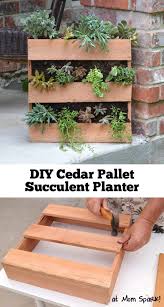 Check spelling or type a new query. Diy Cedar Pallet Succulent Planter Mom Spark Mom Blogger