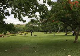 Check spelling or type a new query. 13 Best Chill And Fun Hangout Spots In Abuja Dream Africa