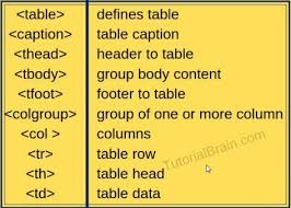 Html Cheat Sheet Tutorialbrain In 2020 Html Cheat Sheet Cheat Sheets Cheating