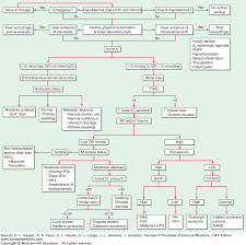 Fluid And Electrolyte Disturbances Harrisons Principles