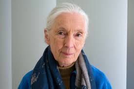 Pauline Warner Obituary (1942