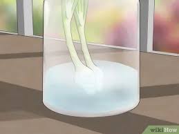 Jarak tanam untuk budidaya bawang merah pada saat musim kemarau dipadatkan hingga 15×15 cm. 3 Cara Untuk Menanam Daun Bawang Wikihow