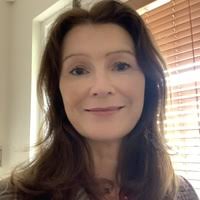 PDF) Sylvia Plath's Vital Presence in Contemporary Irish Poetry