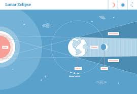 Most relevant best selling latest uploads. Lunar Eclipse Labeled Vector Illustration Diagram Scientific Astrological Planetary System Cycle With Sun And Orbits Of Earth And Moon Sunlight Trajectory With Earth Shadow Penumbra And Umbra Sections Stock Vector Adobe Stock