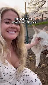 Donkey Laughs at Boxer Getting Shocked