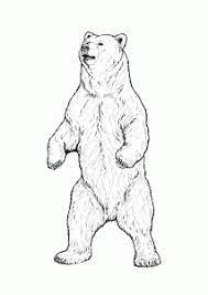 First state flag but it is not extinct in california. Grizzly Bear Real Animals Coloring Pages For Kids Printable Free