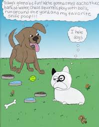 Condom crusader and the faulty rubber shakedown 16. Pudge Fat Dog Comic Book A Kickstarter Campaign Worth Noting The Pet Blog Lady Celebrating Our Pets