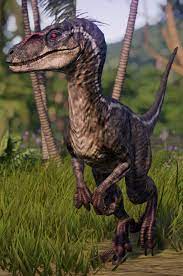 Try drive up, pick up, or same day delivery. Velociraptor Jurassic World Evolution Wiki Fandom