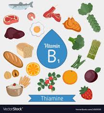 Vitamin B1 Or Thiamin Infographic Vitamin B1 Or