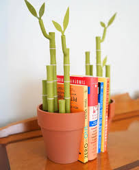 Bamboo Desk Organizer