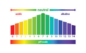 Excess Acidity