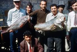 1960 1964 Arasi Mersin Atas Rafinerisini Kuran Amerikali Ailelerin Cektigi Faytonlar Balik Pazari Ve Kasaplar Carsisina Ait Fotografl 2020 Balik Fotograf Carsilar
