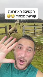 חחחח נסו לא לצחוק מהקפיצה האחרונה 🤣 #למה #אלפקה #חיה #חיות #מצחיק #דודוטין