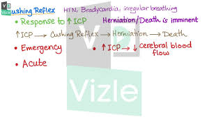 Image result for Cushing Response