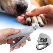 led light 5x magnifier clippers dog