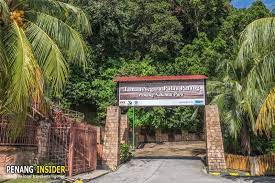 It is rich with more than 271 species of. 10 Amazing Things To Do In Teluk Bahang At Penang National Park Penang Insider