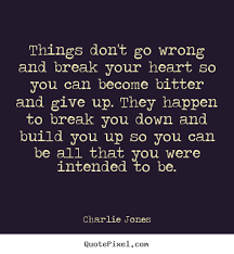 Quotes About When Things Go Wrong 96 Quotes
