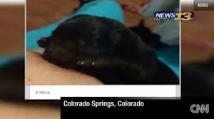 It's possible she was right, as the puppy is reportedly doing much better. Woman Breastfeeds Puppy To Save Its Life But What About Her Baby Video Cafemom Com