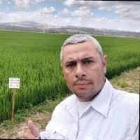 50+ "Marlon Centeno" profiles