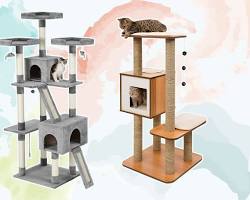 Cat tower and hiding places for catsの画像
