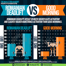 In a romanian deadlift, you keep your knees straighter (not locked!) for a bit longer, dropping the weight by bending at the hip, and then lowering in answer to your other questions, deadlifts work nearly every muscle in your body, either directly or indirectly. Rdl Vs Good Morning The Muscle Phd