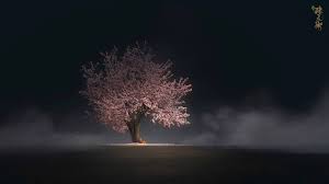 Art wolf and sakura background for desktop 1920x1080 full hd. Sakura Tree Girl Live Wallpaper Sakura Tree Girl 1920x1080 Wallpaper Teahub Io
