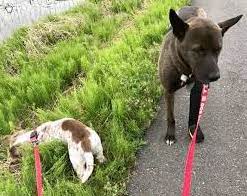 Jul 08, 2017 · 坂上忍オフィシャルブログ「綺麗好きでなにが悪い！」 powered by ameba. å‚ä¸Šå¿ã®ãƒ–ãƒ­ã‚°ã«å‡ºã¦ãã‚‹ã‚µãƒ³ã‚¿ã®æœ€è¿'ã®æ§˜å­ã¯ã¨ã¦ã‚‚ ã§ã™ Kimkazã®ã‚¨ãƒ³ã‚¿ãƒ¡ãƒ‹ãƒ¥ãƒ¼ã‚¹