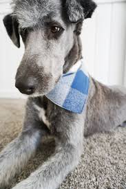 How to sew a dog bandana. Free Dog Bandana Pattern Heather Handmade