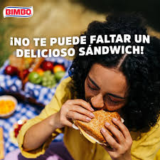 Perfil de Bimbo Centroamérica