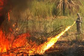 לצערנו, לא נמצאו תוצאות באנגלית עבור rpo der rpo (, „reaktiver flammenwerfer der infanterie) ist ein leichter, tragbarer raketenwerfer der firma kbp. Flammenwerfer