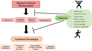 Image result for Cachexia in Cancer