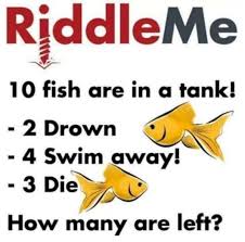 No One Can Solve This Riddle Can You Outsmart The Rest Hijabsandclothes Tricky Riddles Funny Riddles Riddles To Solve
