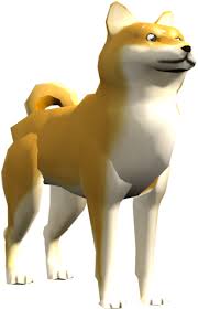 Doge series roblox wikia fandom powered by wikia. Download Download Zip Archive Doge Roblox Png Image With No Background Pngkey Com