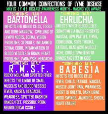 4 Common Coinfections Of Lymes Disease Lyme Disease Awareness Disease Awareness Lyme Disease