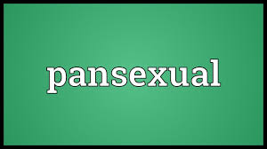 Sexually fluid vs pansexual indonesia pdf download free. Pansexual Meaning Youtube