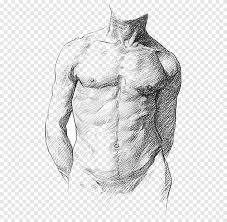 Muscles of the neck and torso classic human anatomy in motion the. Human Anatomy For Art Students Human Anatomy For Artists Human Body Muscle Anatomy Monochrome Human Png Pngegg