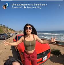 Shenaz Treasury is now collaborating with Bajaj Finserv and promoting how  one can take take loans to travel. She herself charges 2.5 L for each post  that funds her trips but duping