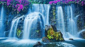 768x1024px Free Download Hd Wallpaper Waterfalls Flower Nature Rock Wallpaper Flare