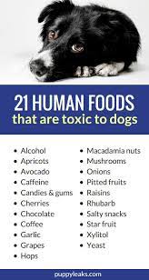 21 Human Foods That Are Toxic To Dogs Toxic Foods For Dogs Human Food Dog Nutrition