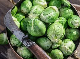 Check spelling or type a new query. How To Harvest And Store Brussels Sprouts