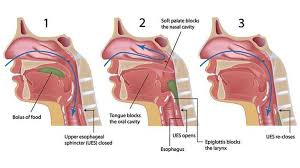 Phlegm in the throat can cause excessive embarrasment in public places. 7 Facts About Mucus Phlegm Snot And Boogers Everyday Health
