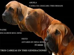 Maybe you would like to learn more about one of these? Miradormarte Alicante 2021