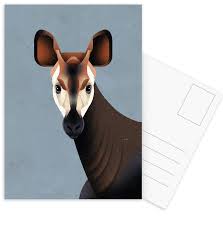 These okapi facts include the animal's diet, habitat, and reproduction. Okapi Postcard Set Juniqe