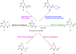 What is structure of modification? Structural Modifications Of Lead Compound 4 Download Scientific Diagram