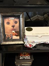 This is my chealse she was 21 years old and my absolute best friend since I  was 6 years old it's hard to believe it's been over a month since she died