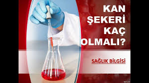 Aclik Kan Sekeri Kac Olmali Kan Sekeri Youtube Aclik