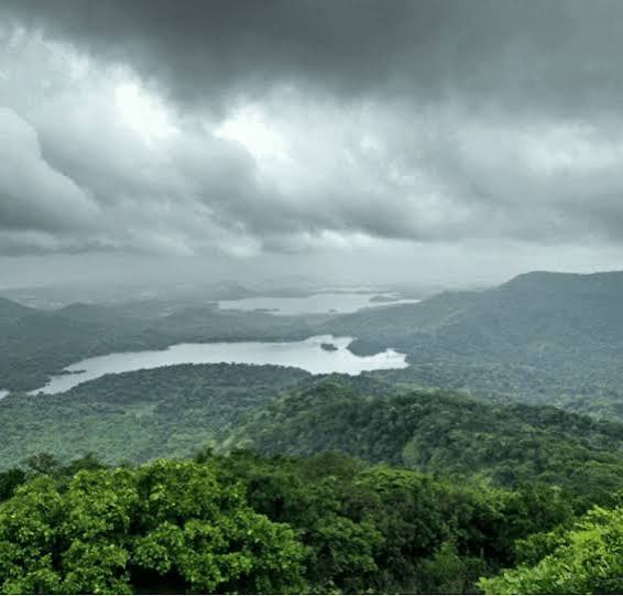 Complete Guide to Sanjay Gandhi National Park