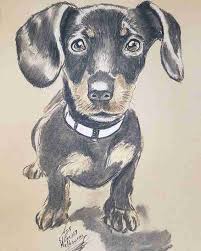 Maybe you would like to learn more about one of these? Pet Portrait Drawing In Melbourne 59 Dog Sketch Cat Painting By Pet Artist